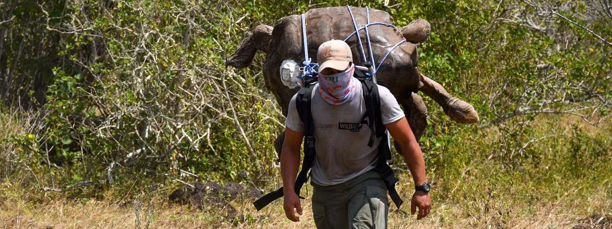 Nuevos despidos de guardaparques en Ecuador reflejan el impacto de la política del Gobierno en áreas protegidas