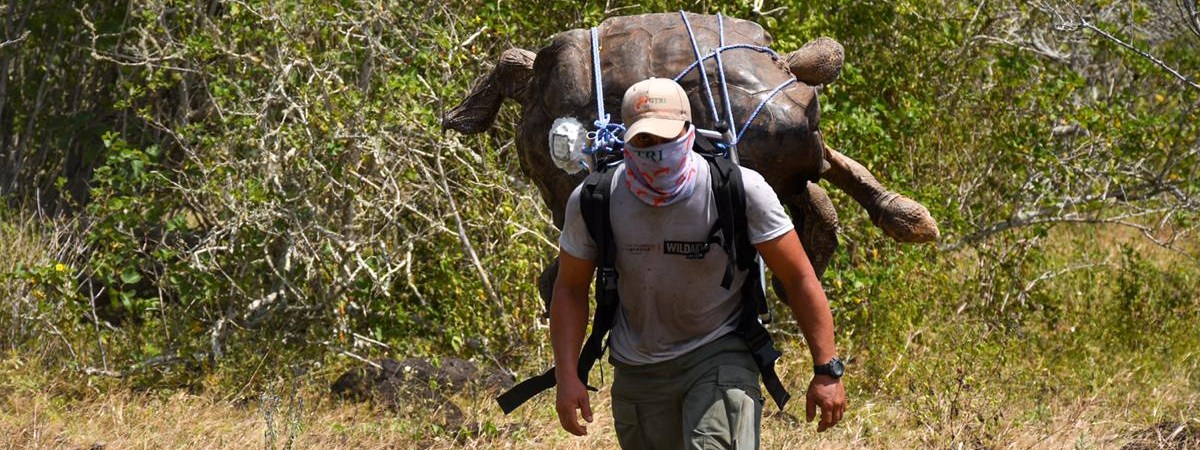 Nuevos despidos de guardaparques en Ecuador reflejan el impacto de la política del Gobierno en áreas protegidas