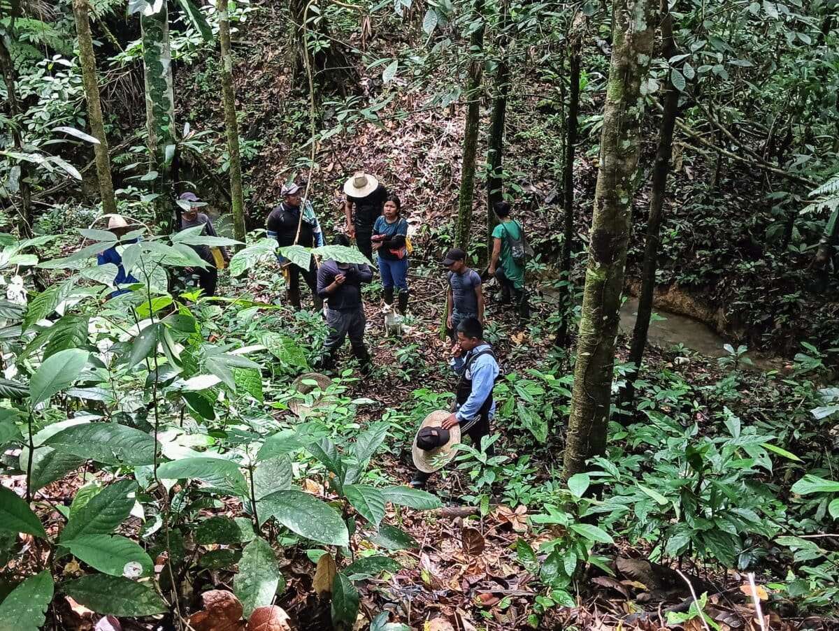 Resistir con palabra dulce: el diálogo indígena que combate la deforestación en Colombia