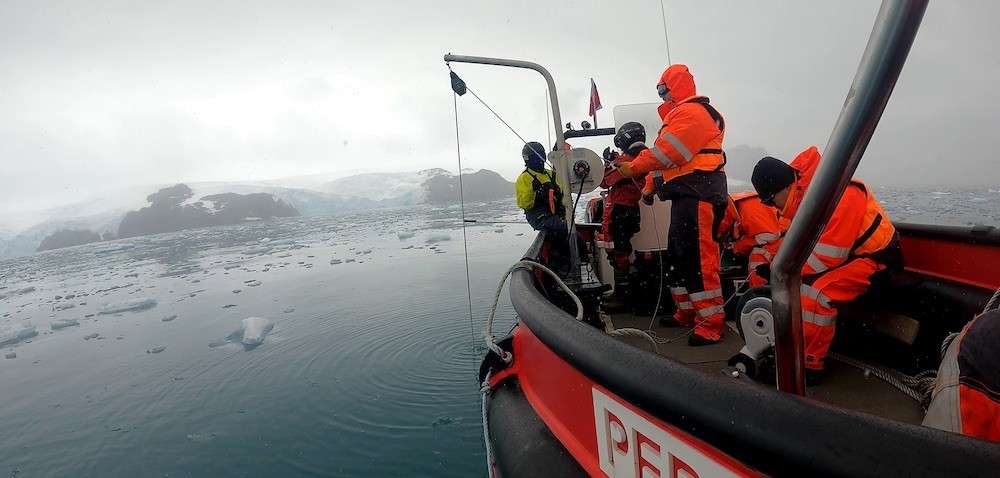 Efecto saltamontes: la crisis climática libera contaminantes del pasado atrapados en el hielo de la Antártida