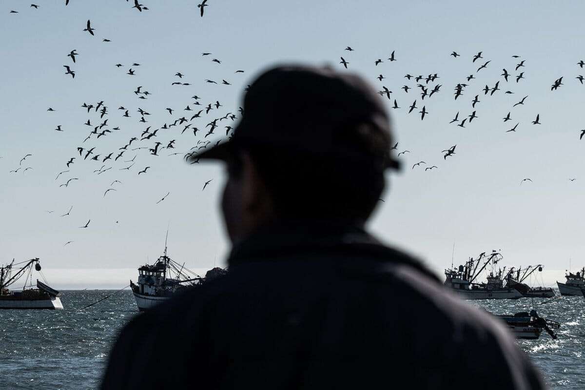 Piratas de Ecuador y Perú: el brazo logístico del narcotráfico detrás de las extorsiones a pescadores artesanales