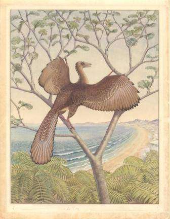El coloquio de los pájaros.