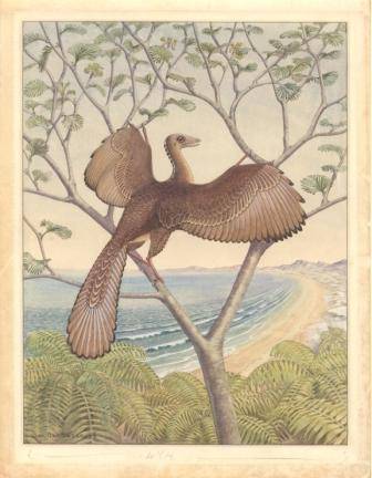 El coloquio de los pájaros.