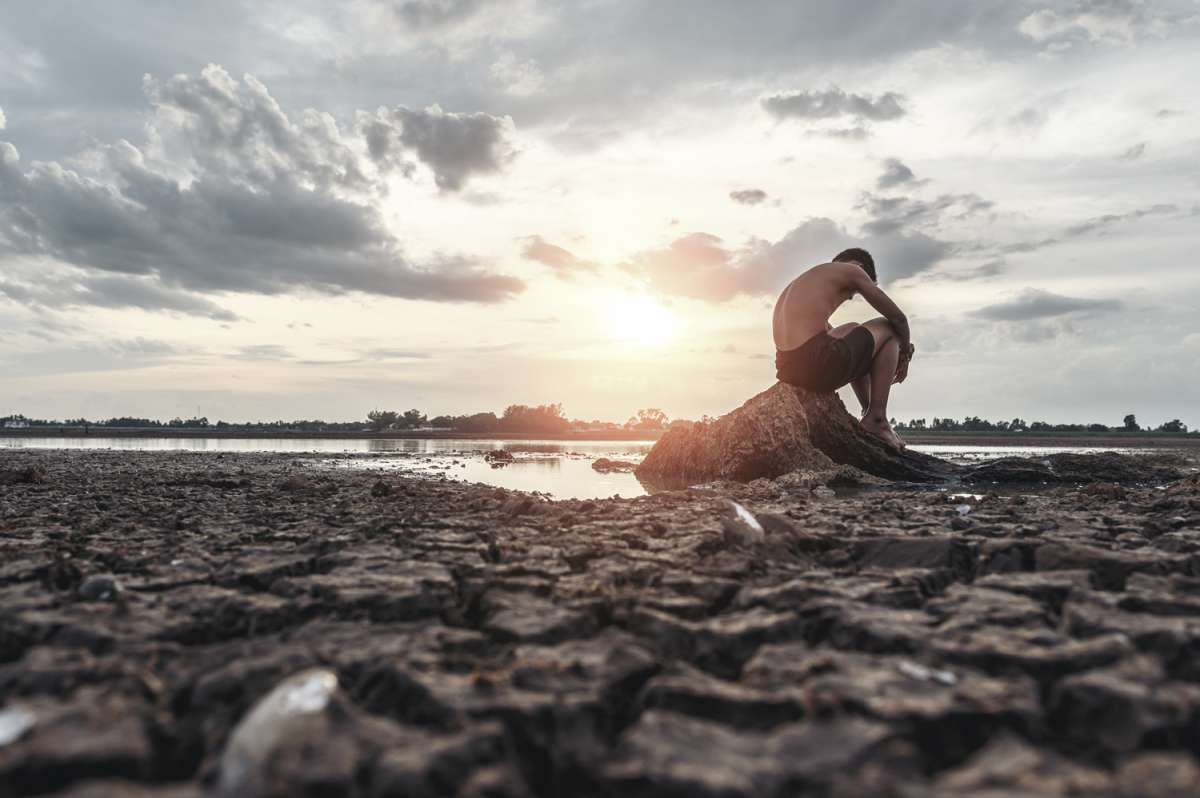 La Amazonía arde: evidencias científicas de una crisis en marcha