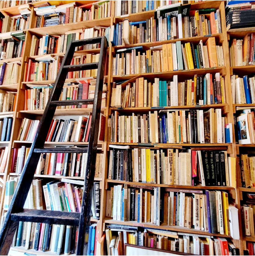 12 libros y 12 autores para regalar el 24