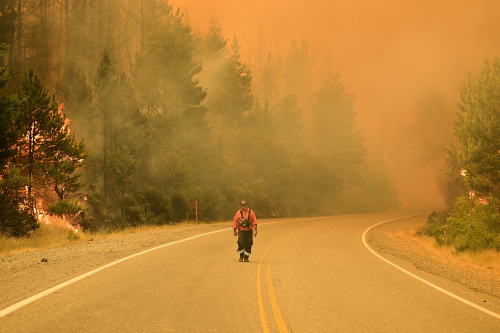 «En la Patagonia argentina, el fuego toma velocidades y condiciones que son casi explosivas» | ENTREVISTA