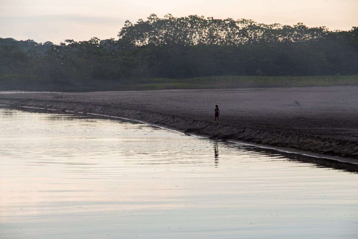 Colombia: el corredor de guerra que genera deforestación y desplazamientos en los pueblos indígenas nukak y jiw