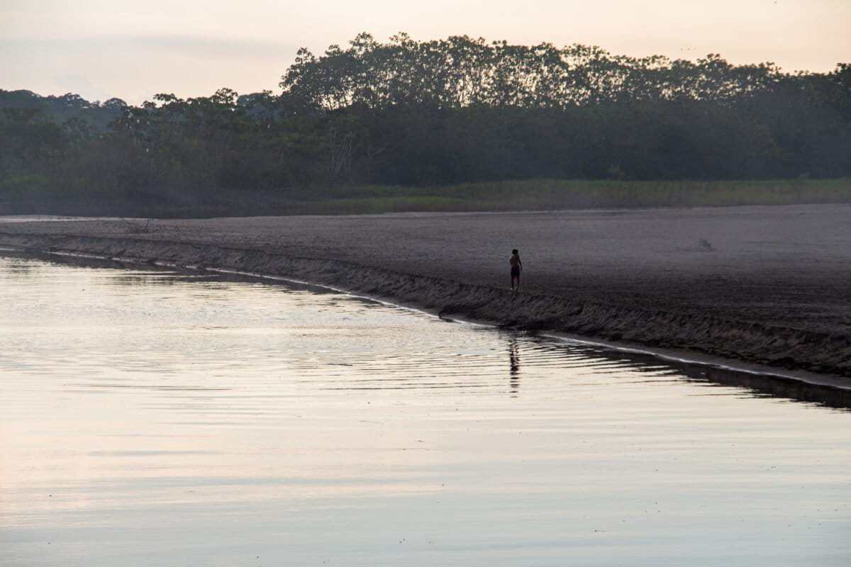 Colombia: el corredor de guerra que genera deforestación y desplazamientos en los pueblos indígenas nukak y jiw