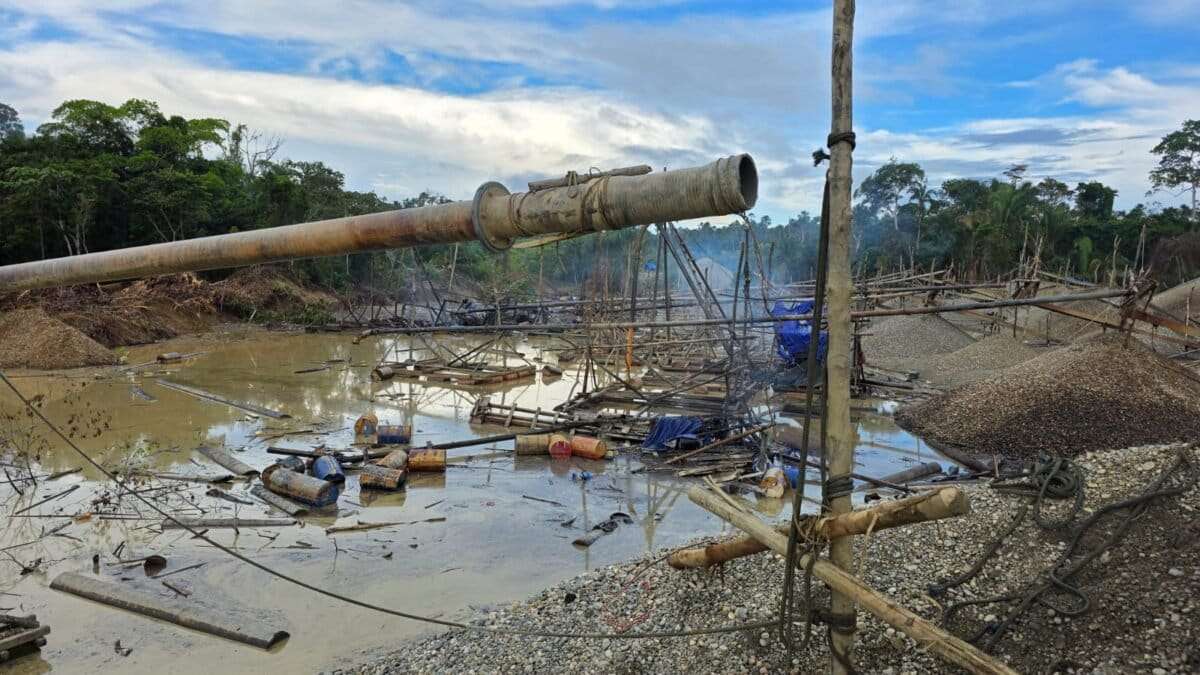Perú: así funciona el sistema de extorsiones, amenazas y asesinatos que devasta los bosques en La Pampa