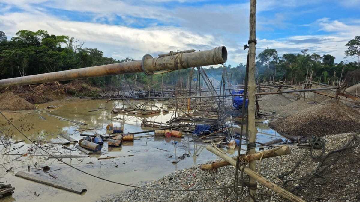 Perú: así funciona el sistema de extorsiones, amenazas y asesinatos que devasta los bosques en La Pampa