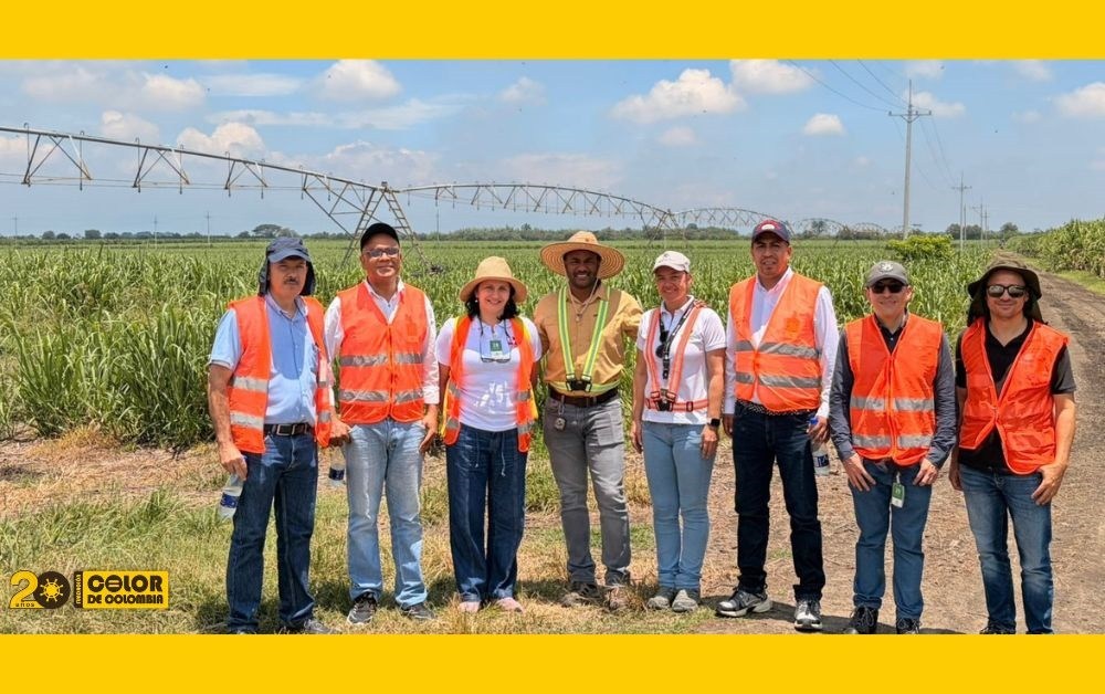 Mirada académica agroindustrial de @UNALoficial, @UniValleCol y @UniCauca a Ingenio @Manuelita160