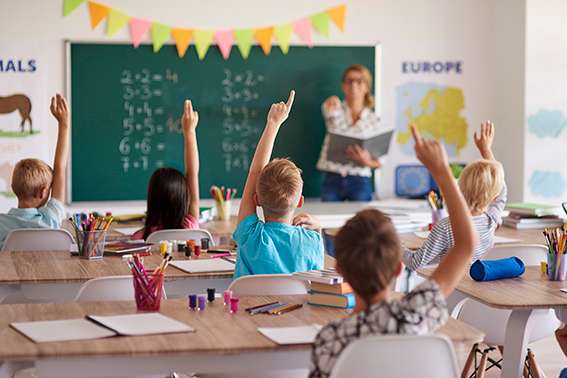 Crónica sobre la educación: la valentía de volver