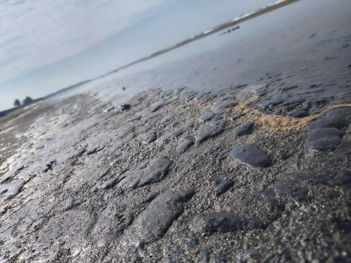 Crisis en el Golfo de México: científicos revelan nueva evidencia sobre el derrame de petróleo