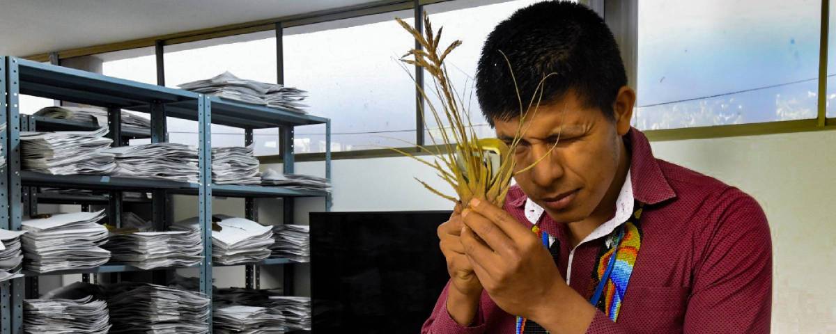 Colombia: un herbario en el Putumayo une ciencia y saber ancestral para defender el territorio