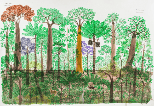 En Buenos Aires está la exposición sobre Abel Rodríguez, el nombrador de plantas