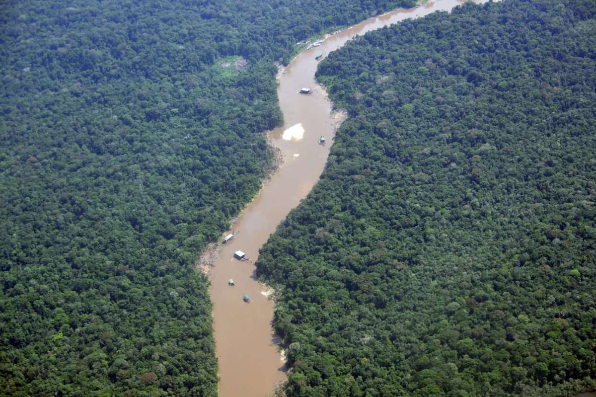 Minería ilegal en Colombia: deforestación por el oro avanza en el Parque Río Puré y pone en riesgo a pueblos indígenas en aislamiento