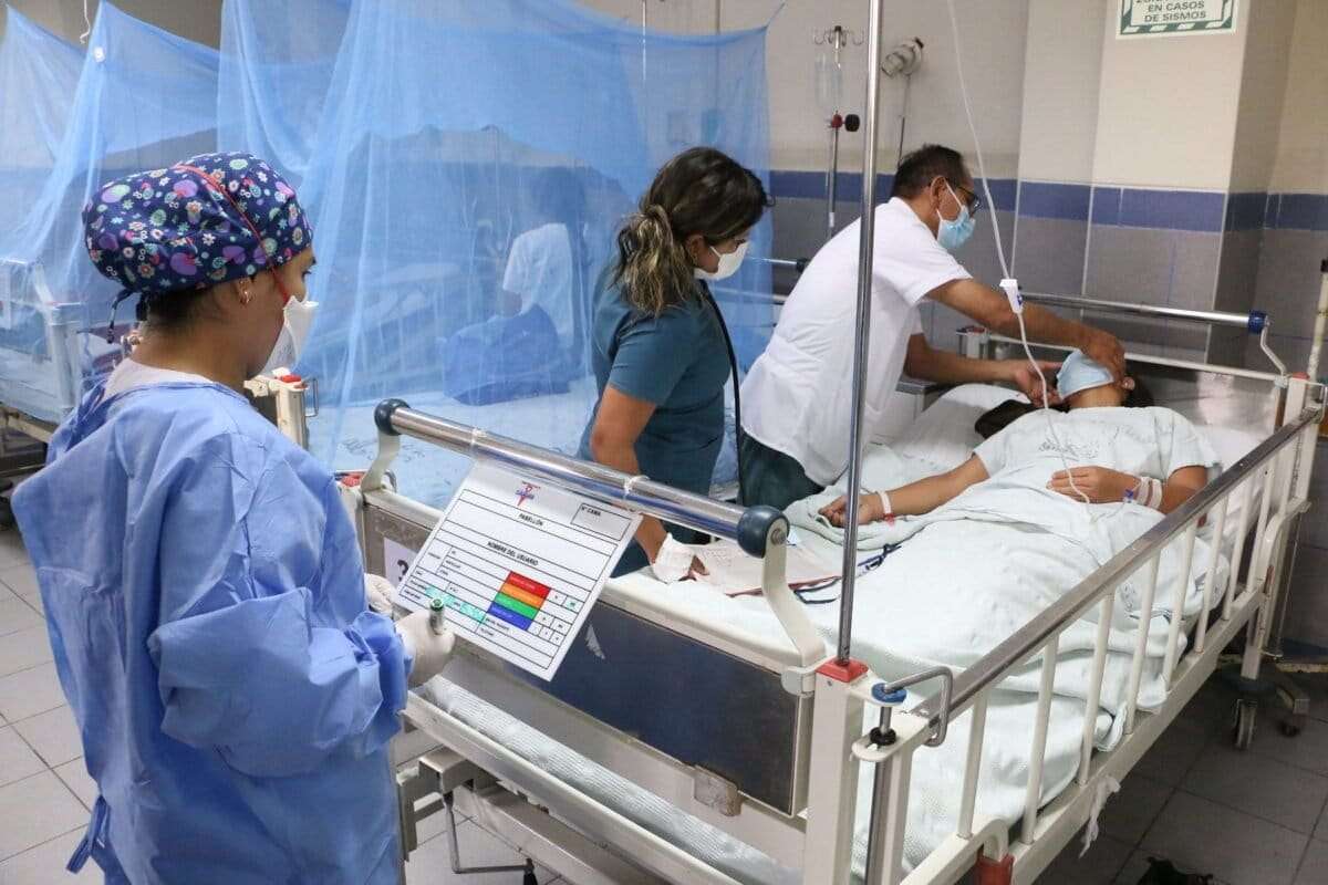 Malaria y dengue: el cambio climático influye en la expansión de las dos enfermedades transmitidas por mosquitos más comunes en el planeta