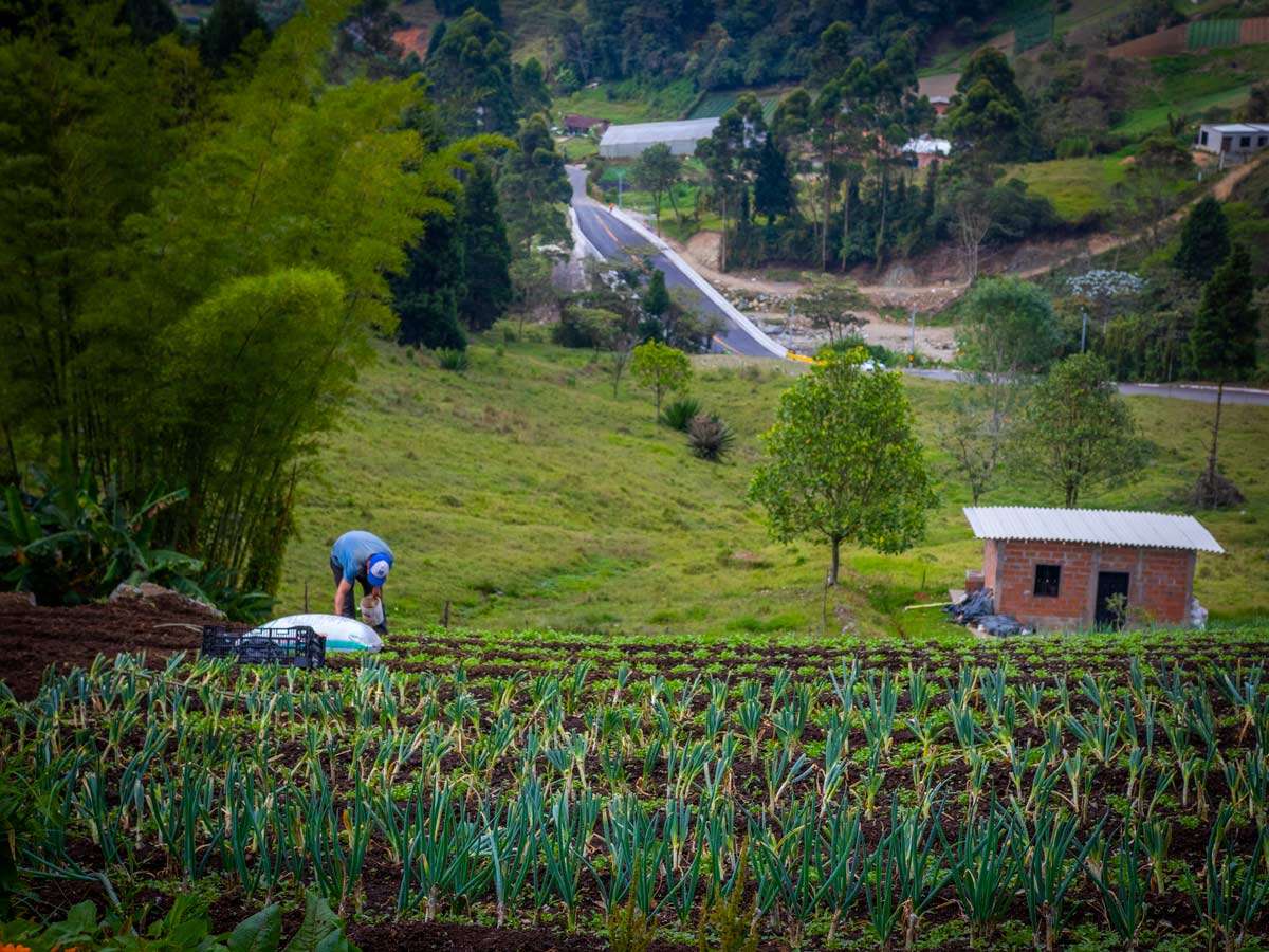 Menos comida y más cara: El Niño amenaza los alimentos y la pesca en Latinoamérica